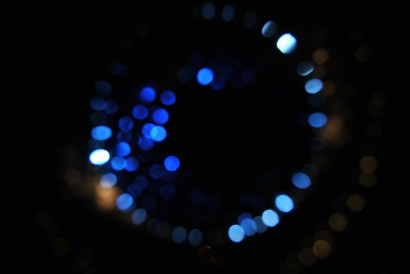 Illustration for article titled Shooting Challenge: Bokeh, Gallery 3